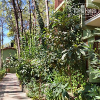 фото из отзыва ID 2197996