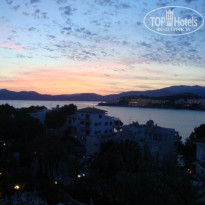 фото из отзыва ID 220357