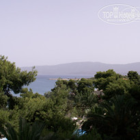 фото из отзыва ID 220443