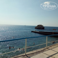 фото из отзыва ID 2200016