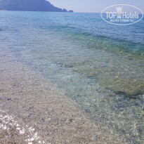 фото из отзыва ID 2200085