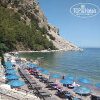 фото из отзыва ID 2200210