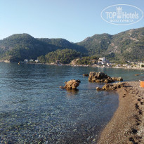 фото из отзыва ID 2200210