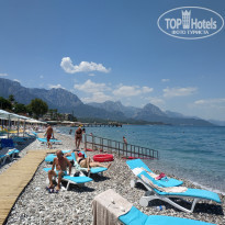 фото из отзыва ID 2200236