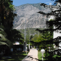 фото из отзыва ID 2200071