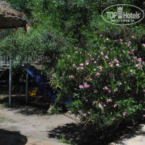 фото из отзыва ID 2200071