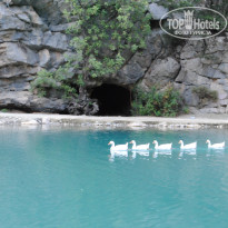 фото из отзыва ID 2200071