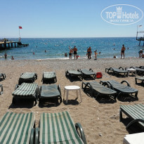 фото из отзыва ID 2200071