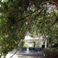 фото из отзыва ID 2200071