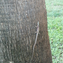 фото из отзыва ID 2200071