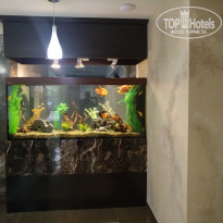 фото из отзыва ID 2200379