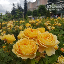 фото из отзыва ID 2200379
