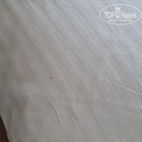 фото из отзыва ID 2200539