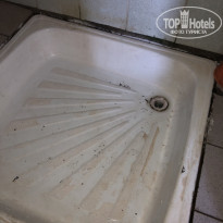 фото из отзыва ID 2200593