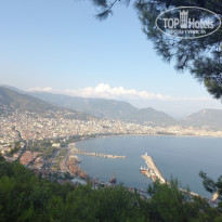 фото из отзыва ID 2200651