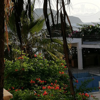 фото из отзыва ID 2200614