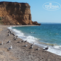 фото из отзыва ID 2200585