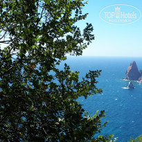 фото из отзыва ID 2200585