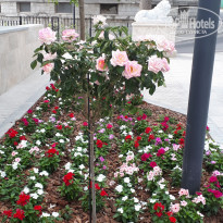 фото из отзыва ID 2200585