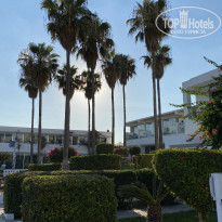 фото из отзыва ID 2200776