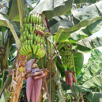 фото из отзыва ID 2200822