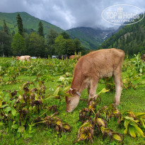 фото из отзыва ID 2200900