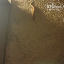 фото из отзыва ID 2200926