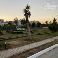 фото из отзыва ID 2201018