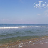 фото из отзыва ID 2200586