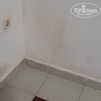 фото из отзыва ID 2201040