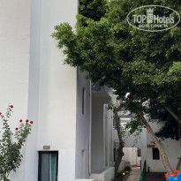 фото из отзыва ID 2201099