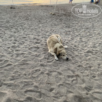 фото из отзыва ID 2201099