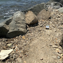 фото из отзыва ID 2201099