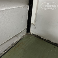 фото из отзыва ID 2201160