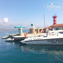 фото из отзыва ID 2201233