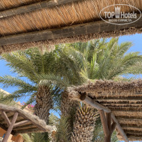 фото из отзыва ID 2201292