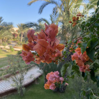 фото из отзыва ID 2201292