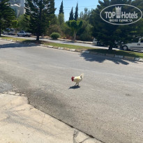 фото из отзыва ID 2201282