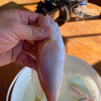 фото из отзыва ID 2201282