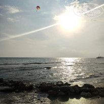 фото из отзыва ID 2201407