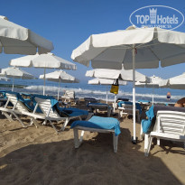 фото из отзыва ID 2201470