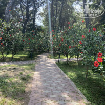 фото из отзыва ID 2201487