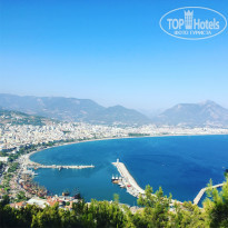 фото из отзыва ID 2201520