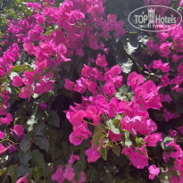 фото из отзыва ID 2201520