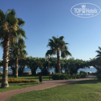 фото из отзыва ID 2201520