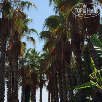 фото из отзыва ID 2201520