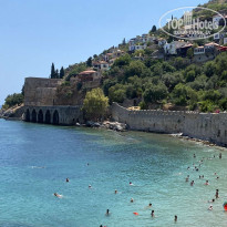 фото из отзыва ID 2201520