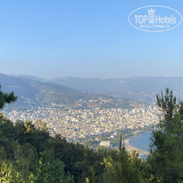 фото из отзыва ID 2201520