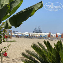 фото из отзыва ID 2201520