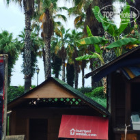 фото из отзыва ID 2201520